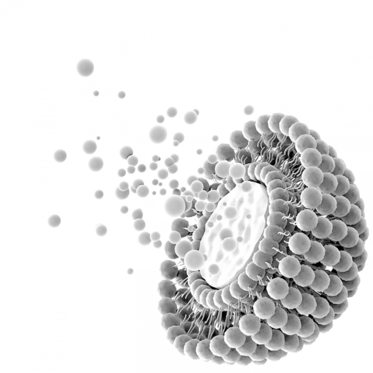 GMPriority Pharma is built on a foundation of decades of expertise in the exciting field of liposome technology.